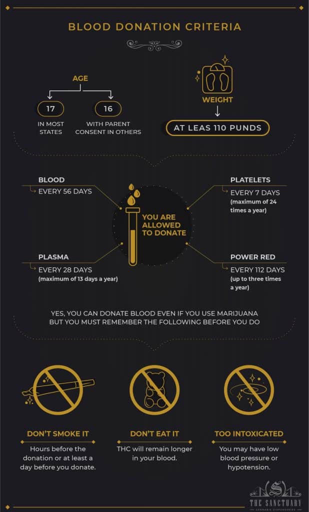 Can You Donate Plasma If You Smoke Weed? Get Facts Here! - The Sanctuary