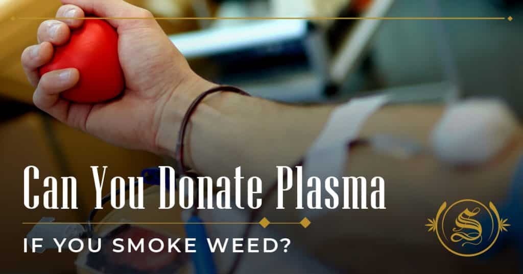 Can You Donate Plasma If You Smoke Weed?