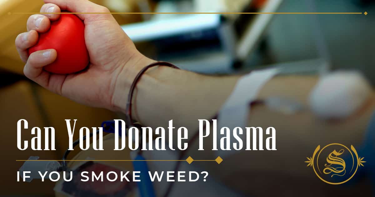 Can You Donate Plasma If You Smoke Weed Josh has Haney