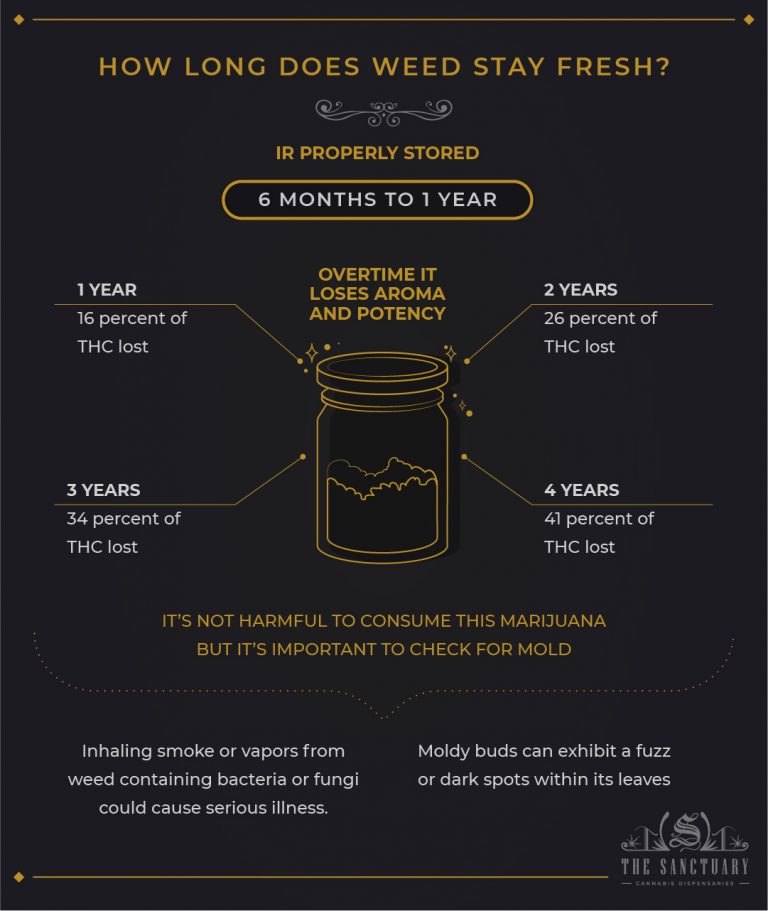 Does Marijuana Go Bad? How To Keep It Fresh For Longer - The Sanctuary