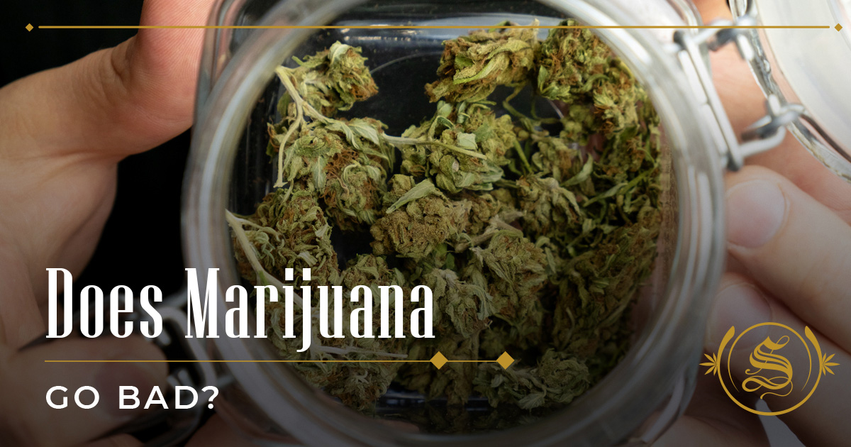 Does Marijuana Go Bad? How To Keep It Fresh For Longer The Sanctuary
