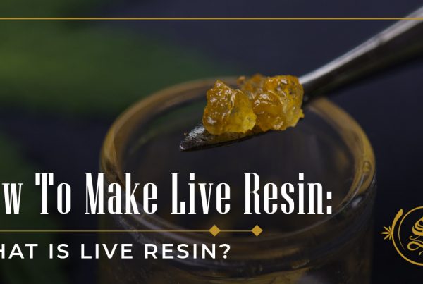 what is hemp wick used for How to make live resin?