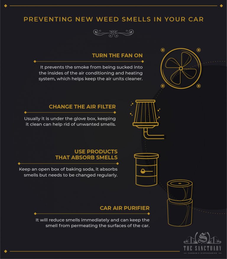 How To Get Weed Smell Out Of Car: Tried & Tested Tips! - The Sanctuary