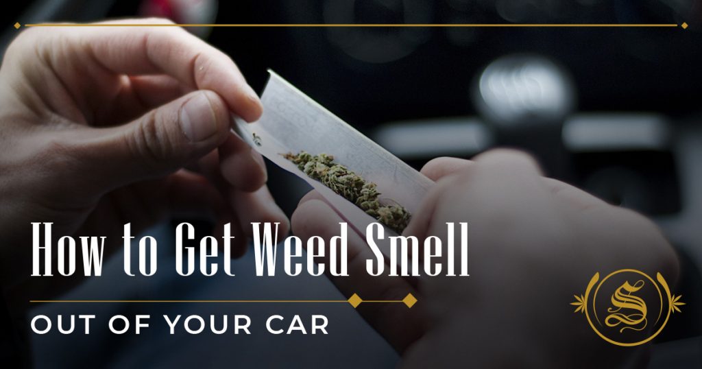 How to Get Weed Smell Out of Your Car?