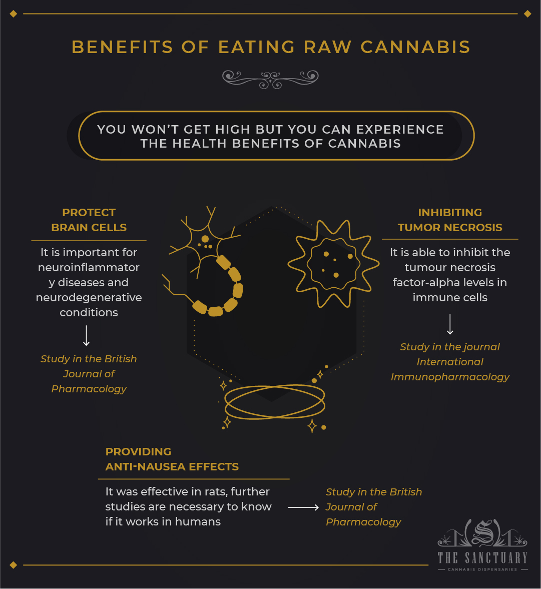 What Happens if You Eat Raw Weed