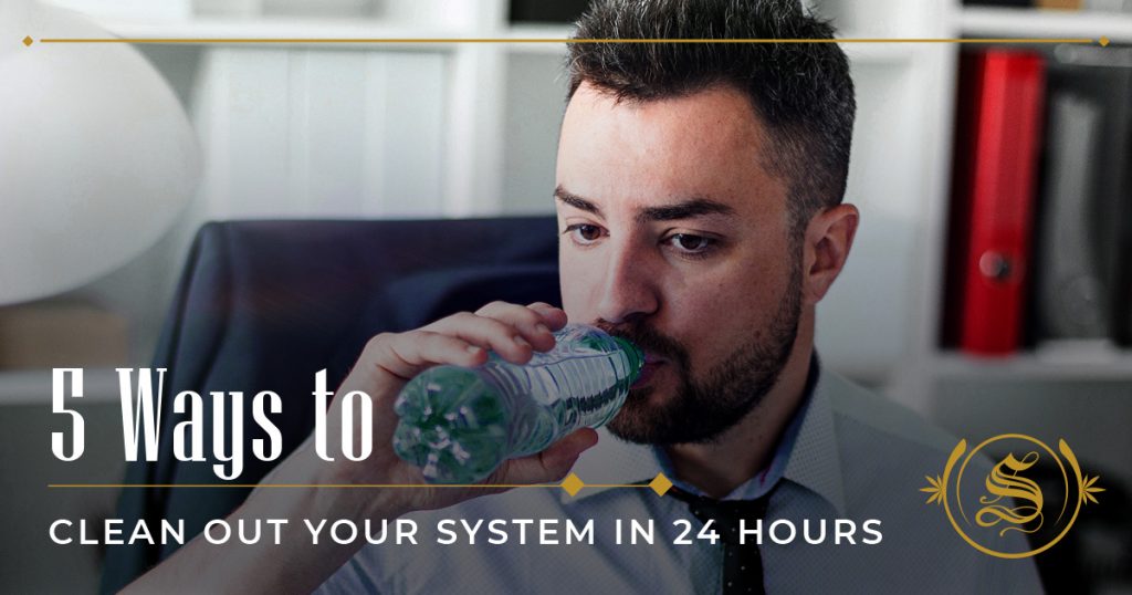 ways to clean out your system in 24 hours
