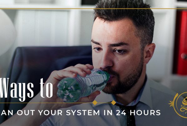 ways to clean out your system in 24 hours
