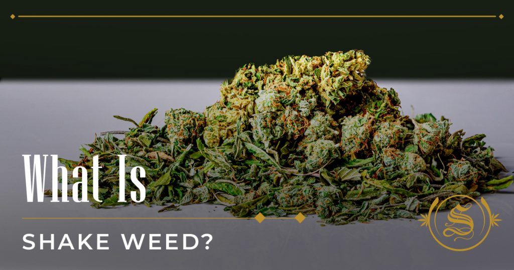 What Is Shake Weed