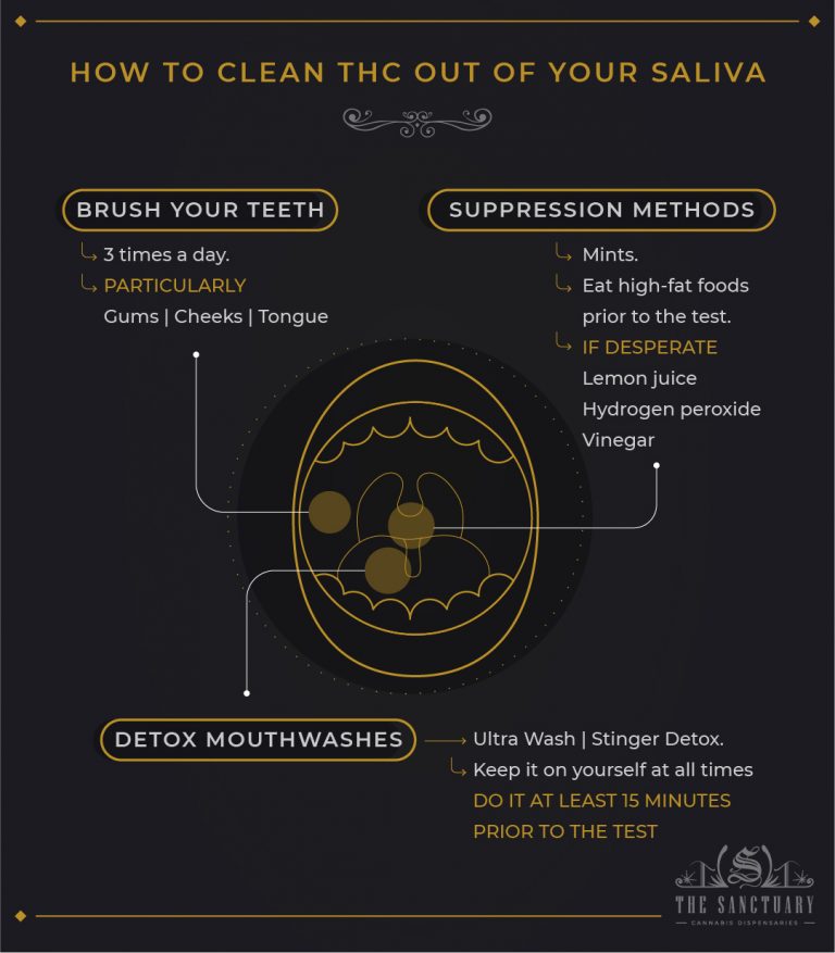 Saliva Drug Testing How Long Does THC Stay In Saliva? The Sanctuary