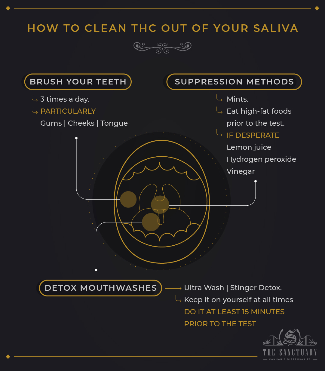 How to clean THC out of your saliva