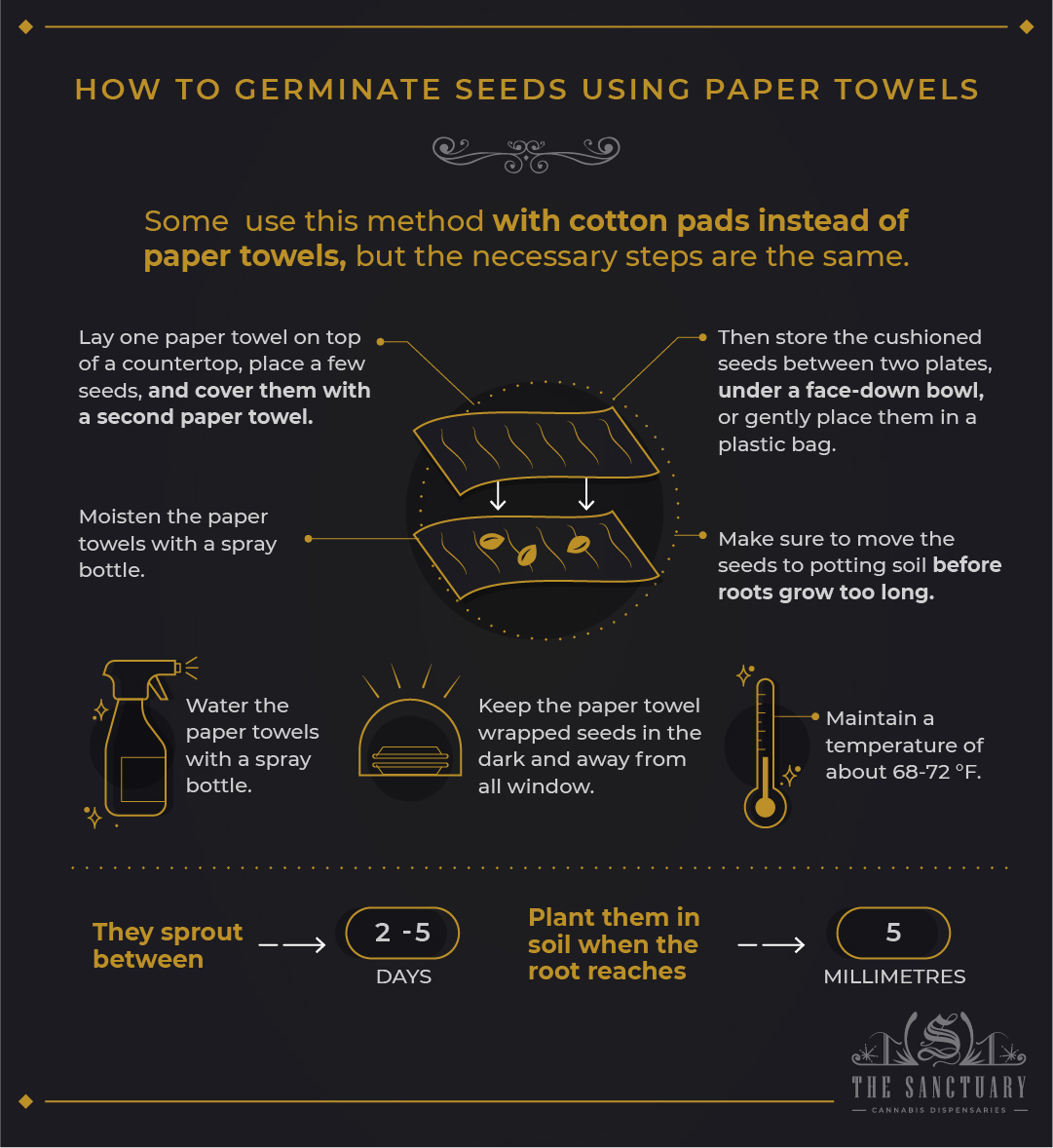 How to germinate seeds using paper towels