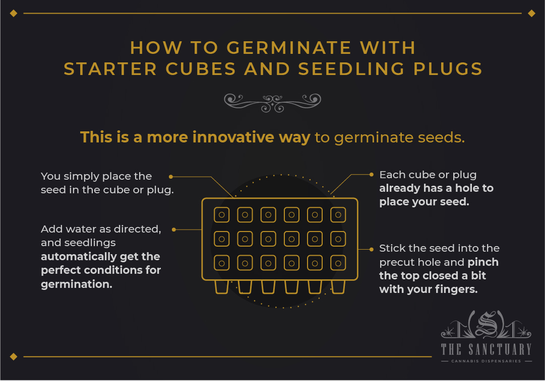 How to germinate with starter cubes and seedling plugs