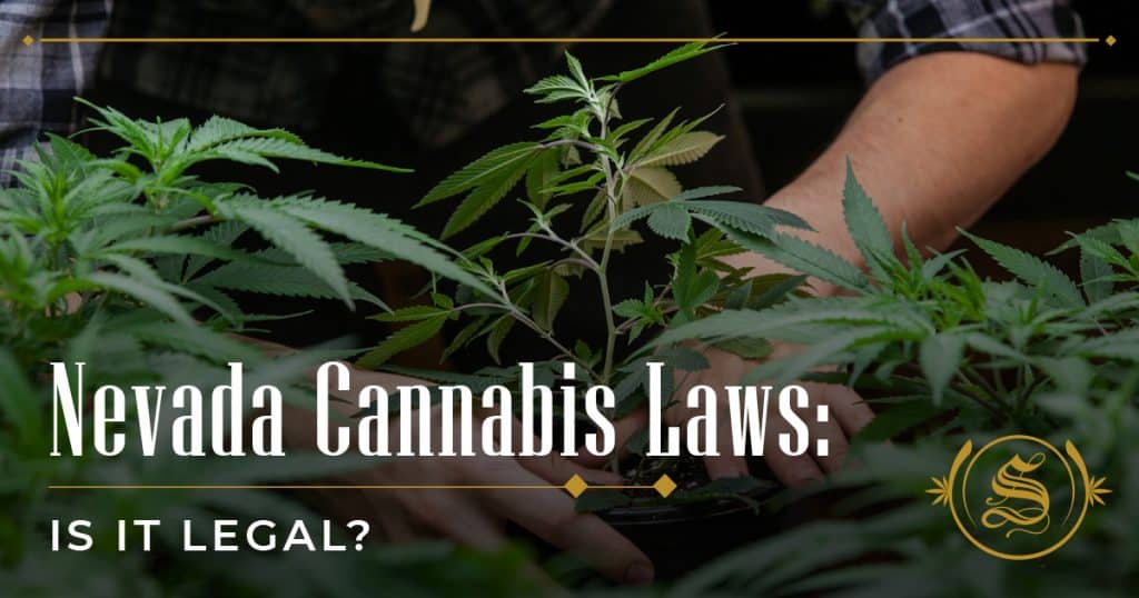 Nevada Cannabis Laws: Is It Legal?