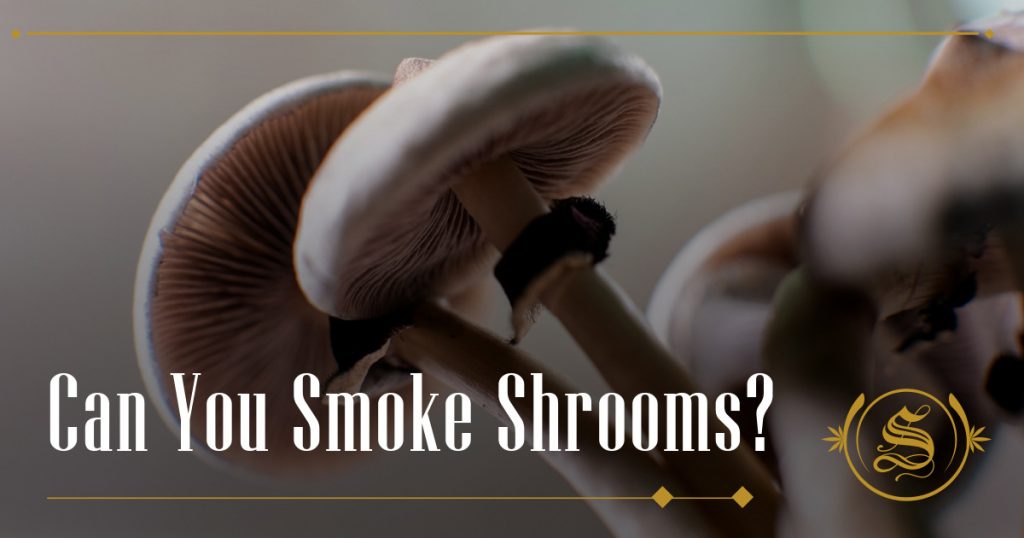 Can You Smoke Shrooms?