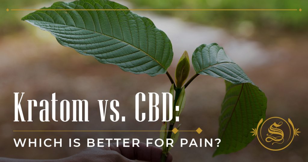 Kratom vs. CBD: Which Is Better for Pain?