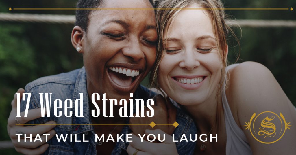 Weed Strains That Will Make You Laugh
