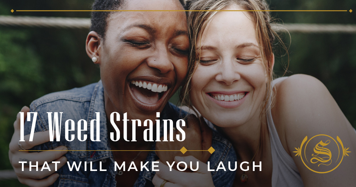 Top 17 Weed Strains That Make You Laugh Guaranteed The Sanctuary