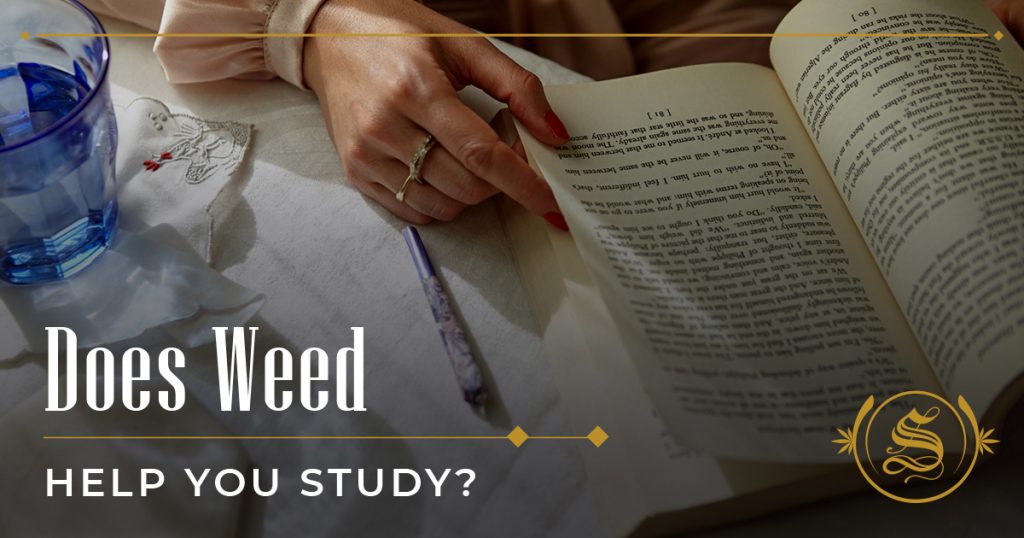 Does Weed Help You Study