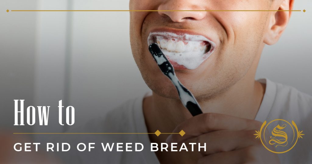 How to Get Rid Of Weed Breath