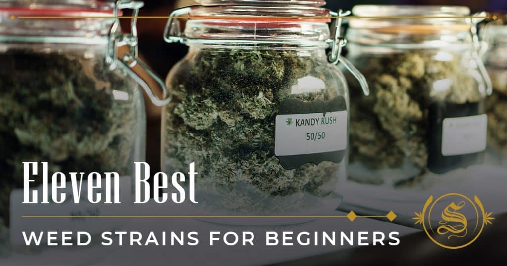 Best Weed Strains for Beginners