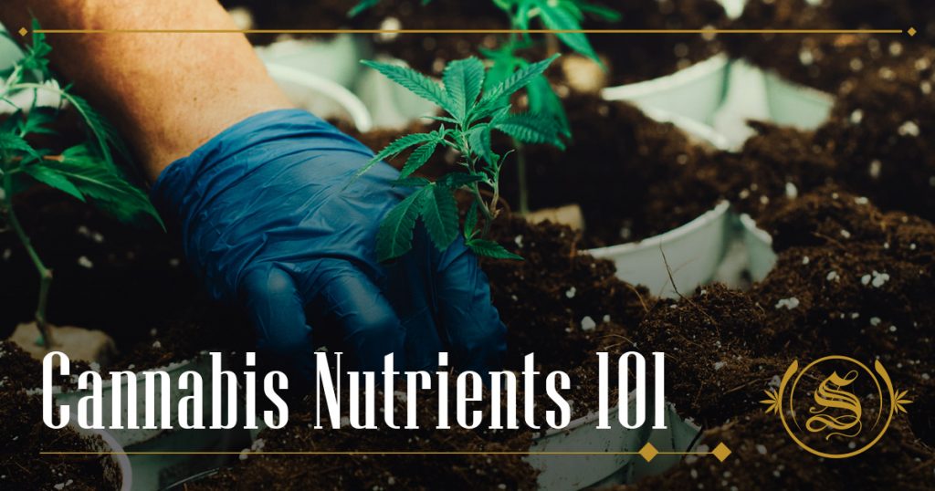 Cannabis Nutrients