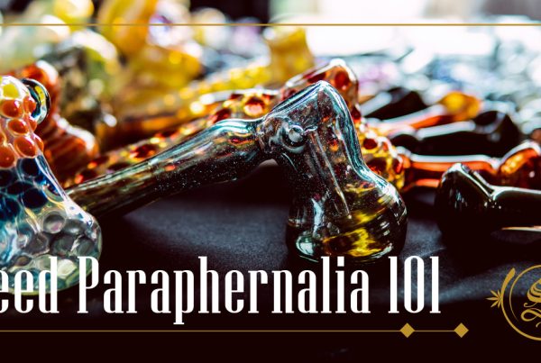 Weed Paraphernalia 101