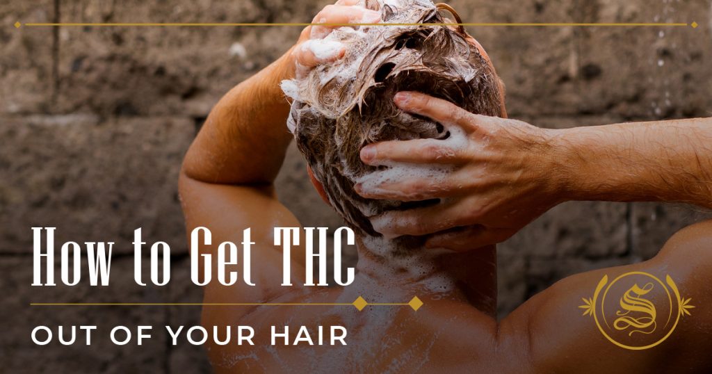 How to Get THC Out of Your Hair
