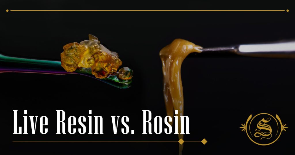 Live Resin vs. Rosin