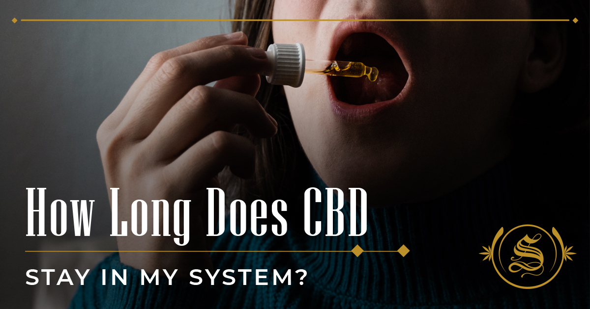 How Long Does CBD Stay In Your System? Learn The Truth! The Sanctuary