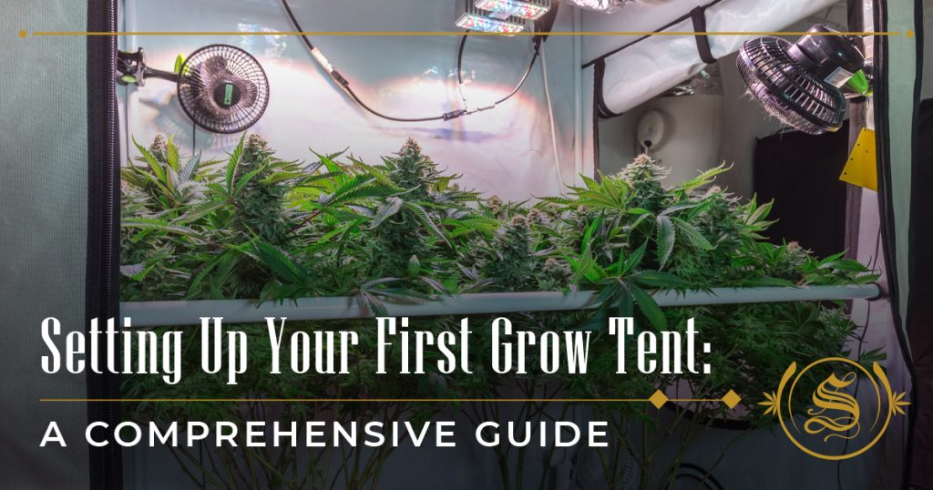 Setting Up Your First Grow Tent: A Comprehensive Guide
