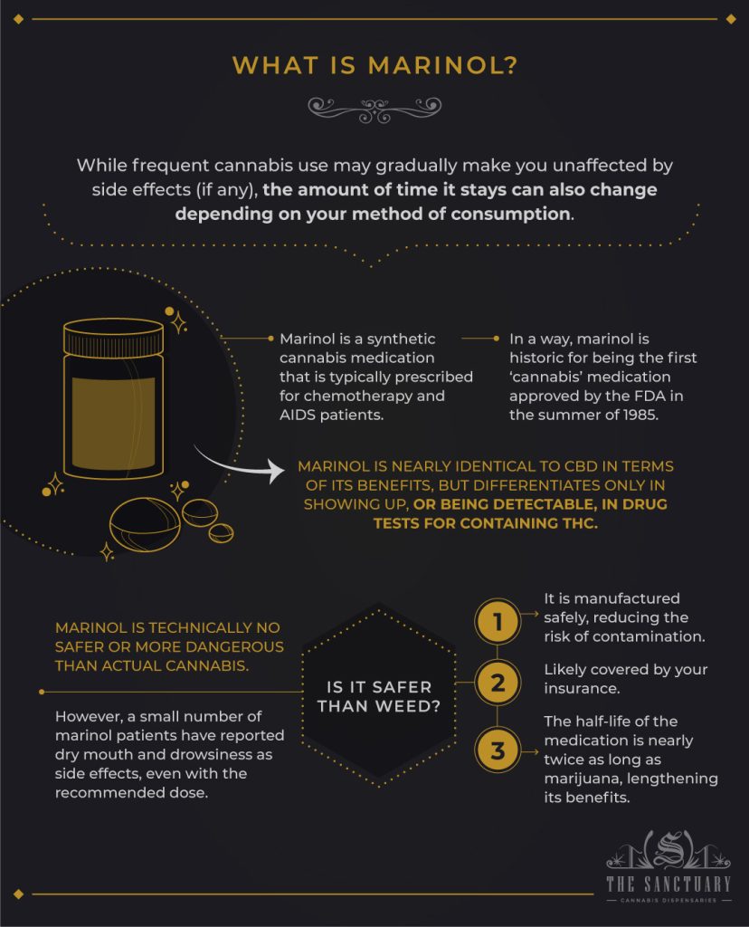 Drug Tests 101: How Long Does Marinol Stay In Your System? - The Sanctuary