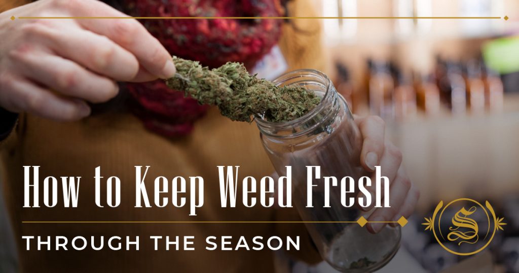 How to Keep Weed Fresh