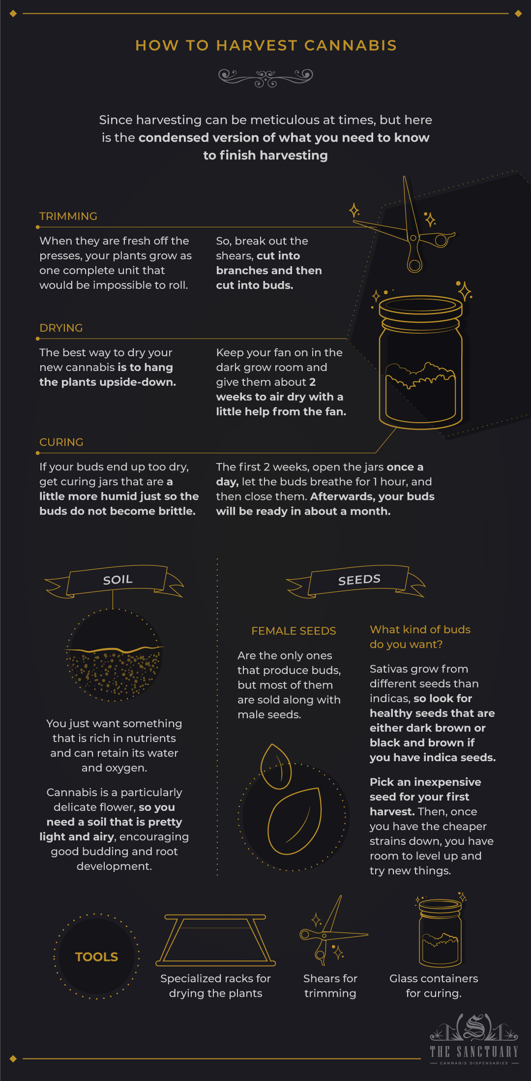 how to harvest cannabis