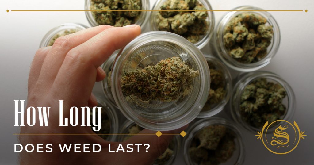 how long is weed good for