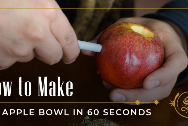 how to make an apple bowl