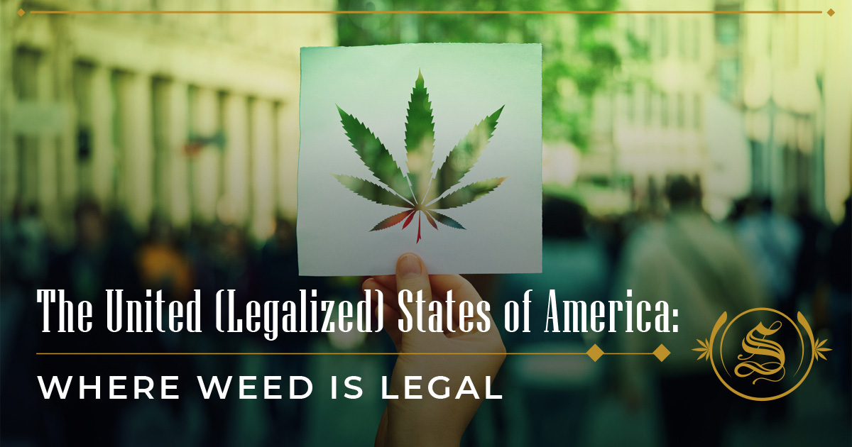 What States Is Weed Legal: Check The Complete List - The Sanctuary