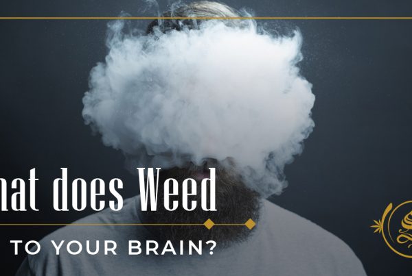 what does weed do to your brain
