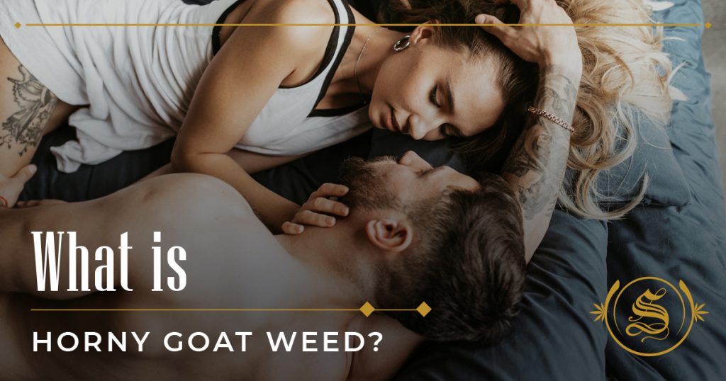 what is horny goat weed