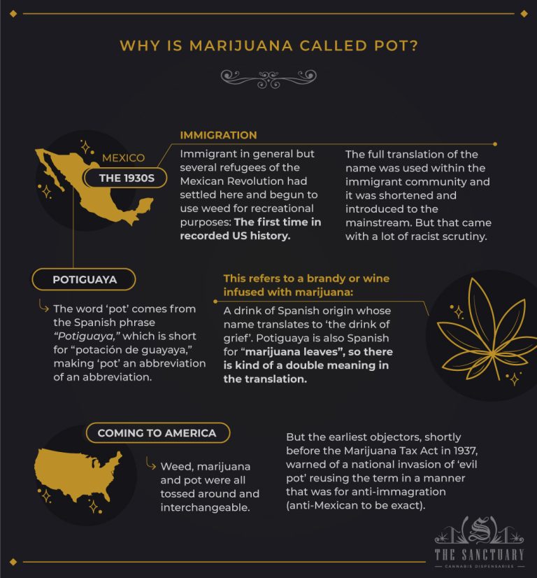 Why Is Marijuana Called Pot? The Origin Of The Slang The Sanctuary