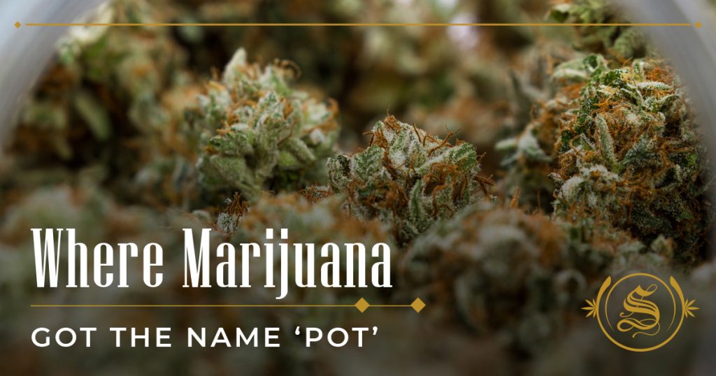 why is marajuana called pot