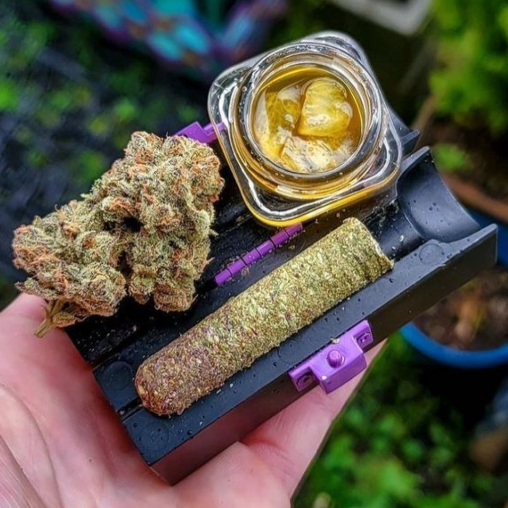 The Cigar Kit That Every Stoner Needs The Sanctuary