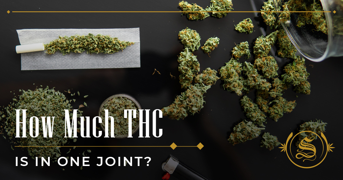 How Much THC Is In A Joint: A Breakdown Of Joint Types - The Sanctuary