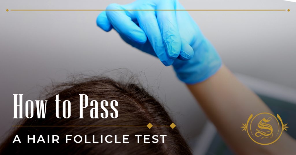 how to pass a hair follicle drug test