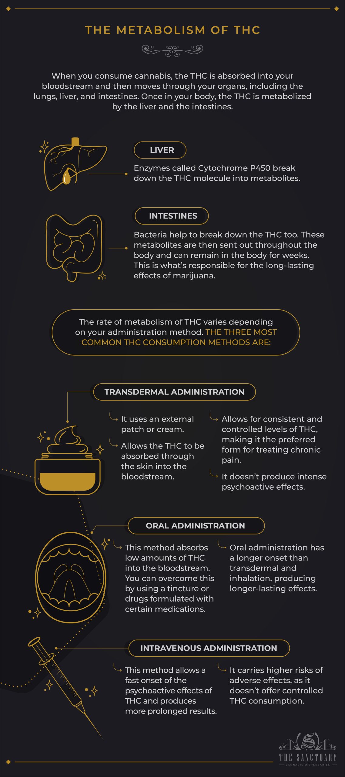 The Metabolism of THC 