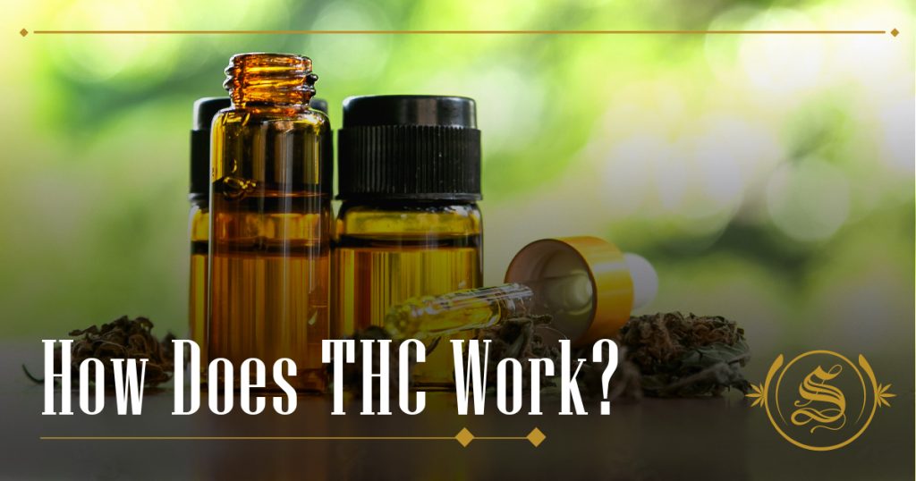how does thc work