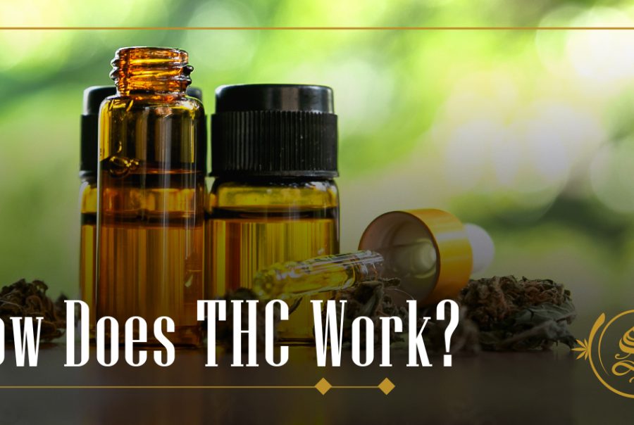 how-does-a-bong-work-explained-with-images-the-sanctuary