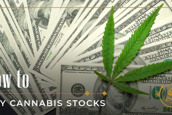 what is hemp wick used for how to buy cannabis stocks