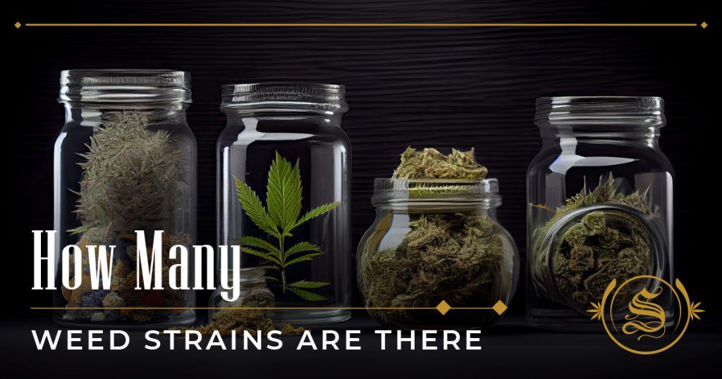 how many weed strains are there