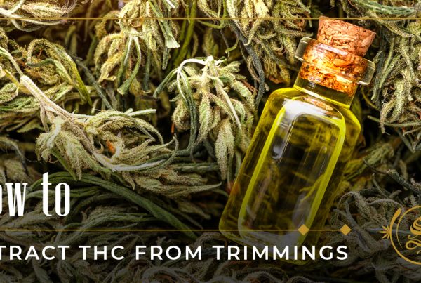 how to extract thc from trimmings
