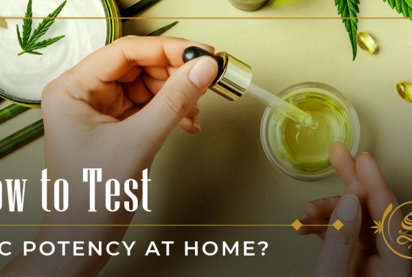 how to test thc potency at home